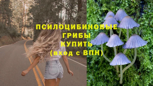 МДМА Лагань