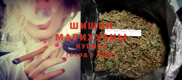 дмт Лиски