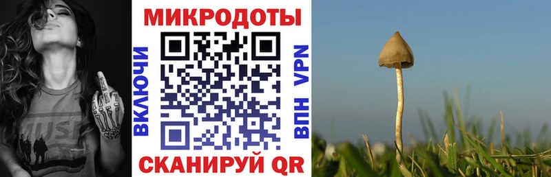 Купить закладки  Лодейное Поле  Галлюциногенные грибы прущие грибы 