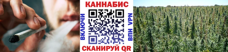 Шишки марихуана Bruce Banner  Купить где  Лодейное Поле 